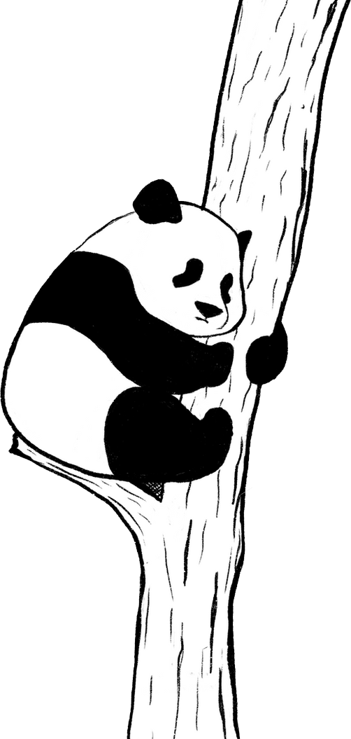 MicroID Biometrics Pvt. Ltd.